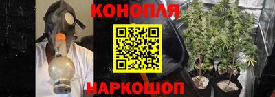 хмурый Гай
