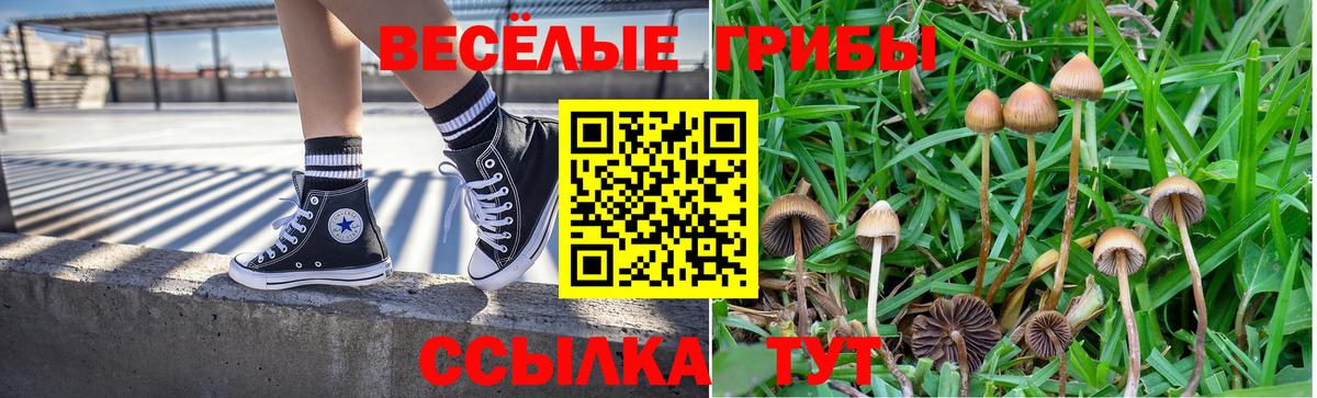 Псилоцибиновые грибы MAGIC MUSHROOMS  Псилоцибиновые грибы MAGIC MUSHROOMS  Вход с VPN  Горячий Ключ 