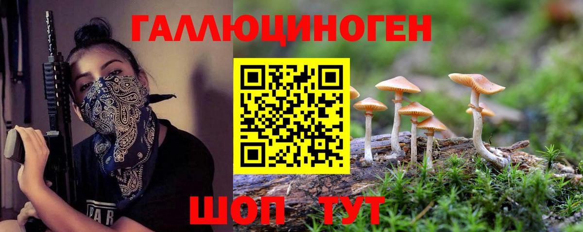 Псилоцибиновые грибы мицелий Горячий Ключ